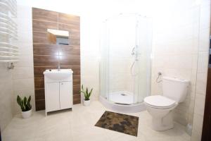 Łazienka w obiekcie Apartamenty Trzciana