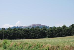 Paesaggio naturale nelle vicinanze della casa vacanze