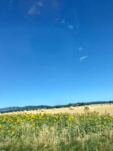 Paesaggio naturale nelle vicinanze della casa vacanze