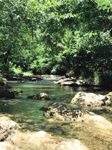 Paesaggio naturale nelle vicinanze della casa vacanze