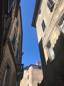 Foto dalla galleria di Casa Bartali a Chiusdino