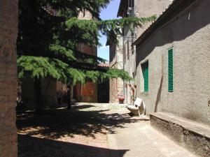Foto dalla galleria di Casa Bartali a Chiusdino