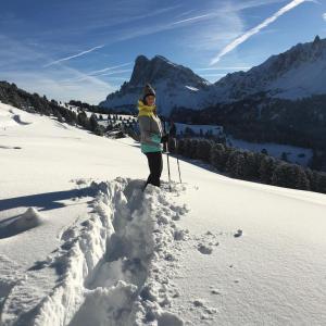 Alpin Lodge St. Andrä v zime