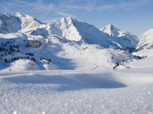 Pension Bucher talvel