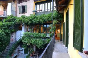 Casalzuigno的住宿－Il Cortile - Casa d'Artista，一座植物生长在建筑的一侧