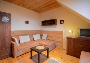a living room with a couch and a tv at Siedlisko Białogóra in Białogóra