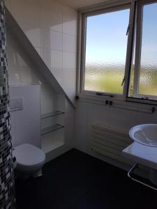 スロースケルケにあるLeeuwendammeのバスルーム(トイレ、洗面台付)、窓が備わります。