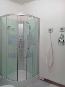 a shower with a glass door in a bathroom at Hostal Casa Azul in Talca