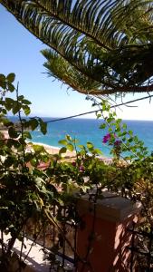 Táj Show holiday homes közelében