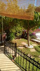 A garden outside Villa Sunset