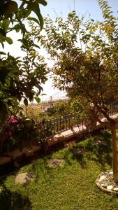 A garden outside Villa Sunset