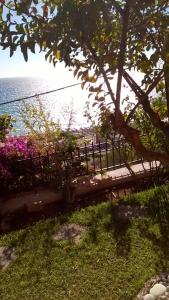 Táj Show holiday homes közelében