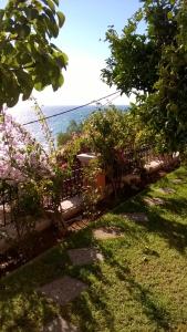 Táj Show holiday homes közelében