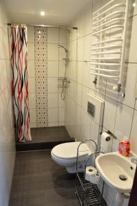 een badkamer met een toilet, een douche en een wastafel bij u bażanta in Uherce Mineralne
