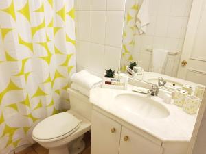 y baño con aseo, lavabo y espejo. en Pedro de Valdivia Apartment Providencia, en Santiago