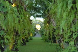 Ein Garten an der Unterkunft Mahagiri Villas Sanur