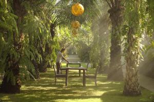 Ein Garten an der Unterkunft Mahagiri Villas Sanur