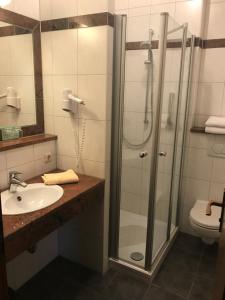 a bathroom with a shower and a sink at Schlossgasthof Rösch in Blaibach +7 photos