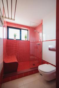 a red bathroom with a shower and a toilet at Cardon Big Calm 12 in Costa Calma +9 photos