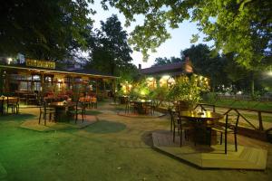 a restaurant with tables and chairs in a park at night at Hotel Galaxias in Metsovo
