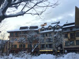 Duplex en vieux bois hyper centre om vinteren