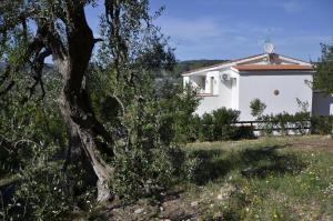 Gallery image of B&B White House in Peschici