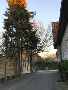 a house with a tree next to a fence at Apartments Ålholmvej in Copenhagen