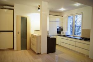 Kuchyň nebo kuchyňský kout v ubytování Apartament Aesthetic