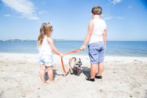two children holding a dog on a leash on the beach at Pousada Algodão da Praia in Araruama