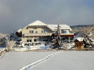 a house covered in snow with a driveway at Ferienwohnung Marina in Mariapfarr