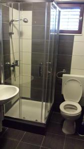 a bathroom with a shower and a toilet and a sink at Apartmani kod Rade in Pakoštane