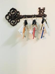 a group of keys hanging on a wall at La zia Acida in Ca Tiepolo