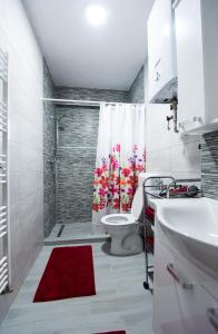 y baño con ducha, aseo y alfombra roja. en Sunrise Inn Sarajevo, en Sarajevo