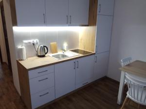 Kuchyňa alebo kuchynka v ubytovaní Nordic Apartamenty św.Mikołaja