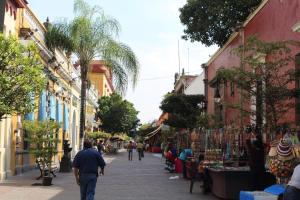 グアダラハラにあるLuxury Department Tlaquepaqueのギャラリーの写真