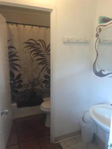 a bathroom with a toilet a sink and a shower at Backpackers Vacation Inn and Plantation Village in Pupukea