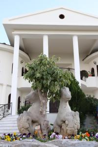Сад в Meryem's Hotel