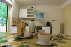 a kitchen with a table with a cup of coffee on it at Agriturismo Mattei - Dormitorio in Peccia