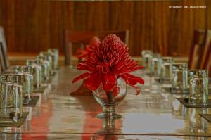 a red flower in a glass vase on a table at Paradise Amazon Tambopata Ecolodge in Puerto Maldonado