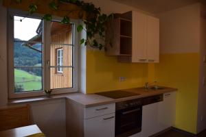 A kitchen or kitchenette at Kornihof