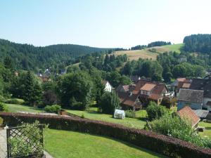 uma vista para uma aldeia com casas e árvores em Haus Reimann em Altenau