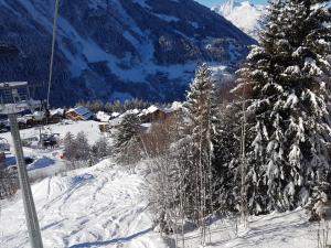 a ski slope with snow covered trees and a mountain at Arpege Des Neiges in Sainte-Foy-Tarentaise