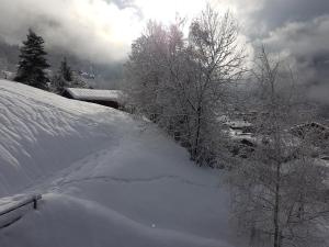 a snow covered yard with trees and a house at Arpege Des Neiges in Sainte-Foy-Tarentaise