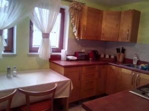 a kitchen with wooden cabinets and a sink and a window at Willa na Skarpie in Kluszkowce