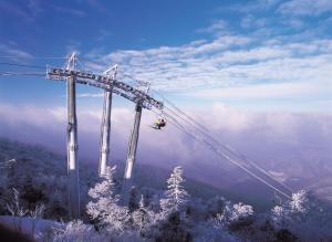 a ski lift in the middle of a mountain at Yongpyong Resort in Pyeongchang