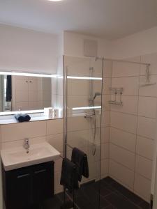 a bathroom with a shower and a sink and a shower at StrandGut inkl Saisonstrandkorb und Wäsche Set in Heiligenhafen