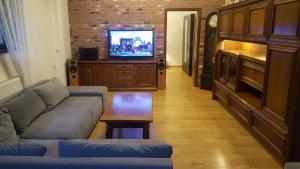 salon z kanapą i telewizorem w obiekcie Apartament na Wolanach w Polanicy Zdroju
