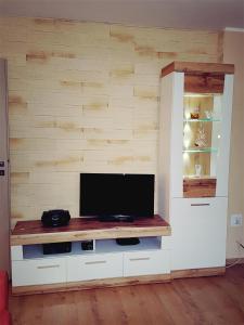 グディニャにあるApartament Na Wzgórzuの木製の壁にテレビ付きのリビングルーム