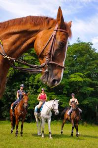 a group of people riding horses in a field at Roulottes de Bois le roi in Bois-le-Roi +6 photos