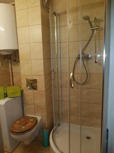 Kúpeľňa v ubytovaní Apartament Na Wzgórzu + 21 fotografií